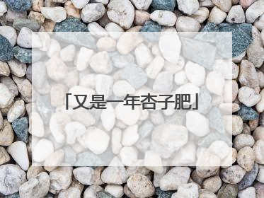 又是一年杏子肥