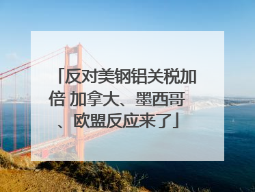 反对美钢铝关税加倍 加拿大、墨西哥、欧盟反应来了