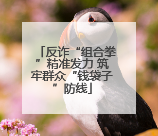反诈“组合拳”精准发力 筑牢群众“钱袋子”防线