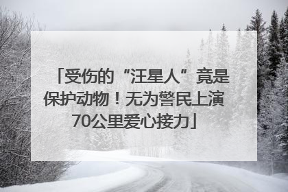 受伤的“汪星人”竟是保护动物！无为警民上演70公里爱心接力