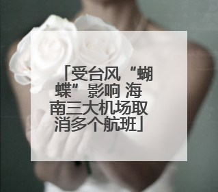 受台风“蝴蝶”影响 海南三大机场取消多个航班