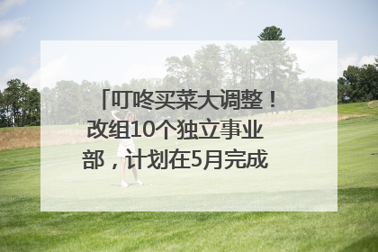 叮咚买菜大调整！改组10个独立事业部，计划在5月完成App端全面改版
