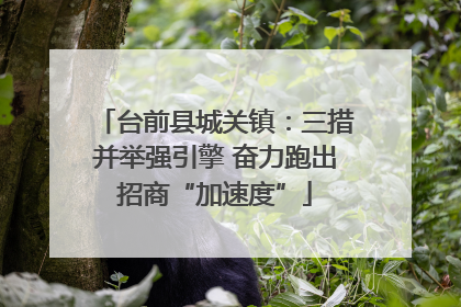 台前县城关镇：三措并举强引擎 奋力跑出招商“加速度”
