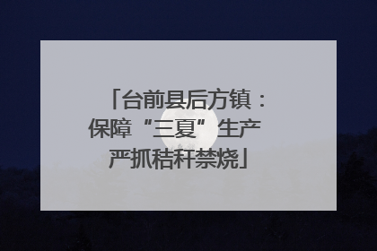 台前县后方镇：保障“三夏”生产 严抓秸秆禁烧
