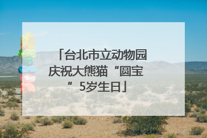 台北市立动物园庆祝大熊猫“圆宝”5岁生日