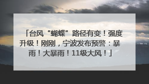 台风“蝴蝶”路径有变！强度升级！刚刚，宁波发布预警：暴雨！大暴雨！11级大风！