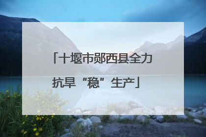 十堰市郧西县全力抗旱“稳”生产