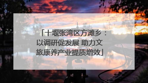 十堰张湾区方滩乡：以调研促发展 助力文旅康养产业提质增效