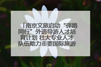 南京文旅启动“译路同行”外语导游人才培育计划 壮大专业人才队伍助力重要国际旅游目的地建设
