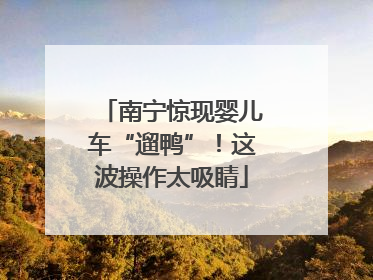 南宁惊现婴儿车“遛鸭”！这波操作太吸睛