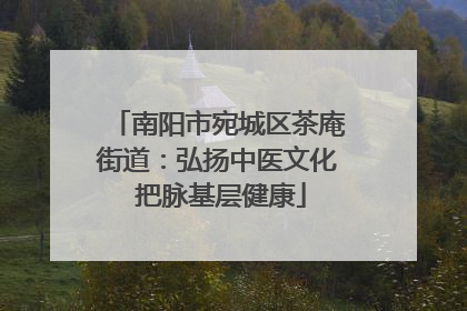 南阳市宛城区茶庵街道：弘扬中医文化 把脉基层健康