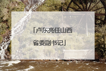 卢东亮任山西省委副书记
