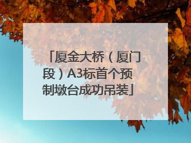厦金大桥（厦门段）A3标首个预制墩台成功吊装