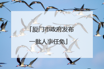 厦门市政府发布一批人事任免