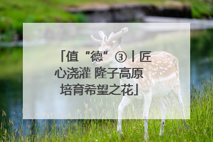 值“德”③丨匠心浇灌 隆子高原培育希望之花