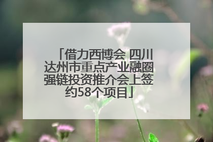 借力西博会 四川达州市重点产业融圈强链投资推介会上签约58个项目