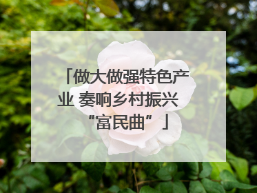做大做强特色产业 奏响乡村振兴“富民曲”