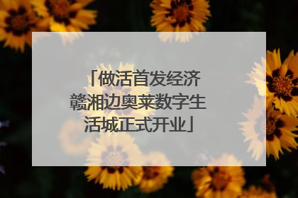 做活首发经济 赣湘边奥莱数字生活城正式开业