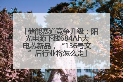 储能赛道竞争升级：阳光电源下线684Ah大电芯新品，“136号文”后行业将怎么走