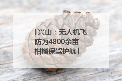 兴山：无人机飞防为4800余亩柑橘保驾护航