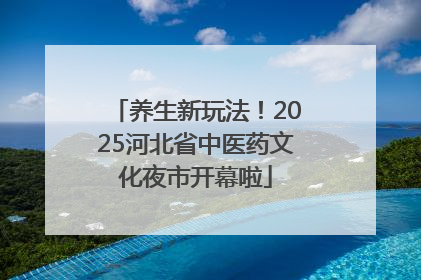 养生新玩法！2025河北省中医药文化夜市开幕啦