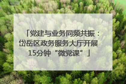 党建与业务同频共振：岱岳区政务服务大厅开展15分钟“微党课”
