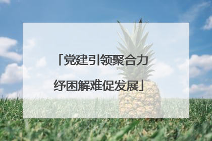 党建引领聚合力 纾困解难促发展