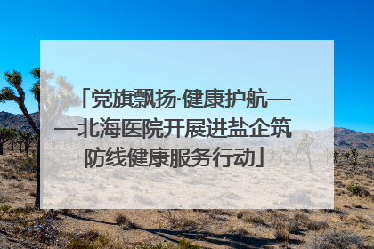 党旗飘扬·健康护航——北海医院开展进盐企筑防线健康服务行动
