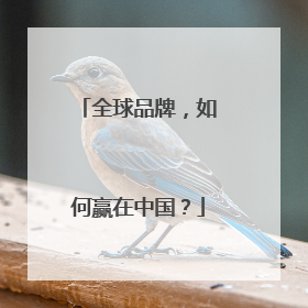 全球品牌，如何赢在中国？