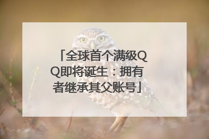 全球首个满级QQ即将诞生：拥有者继承其父账号