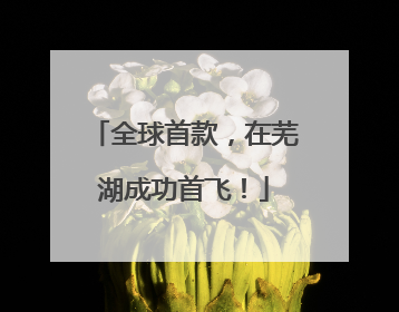 全球首款，在芜湖成功首飞！