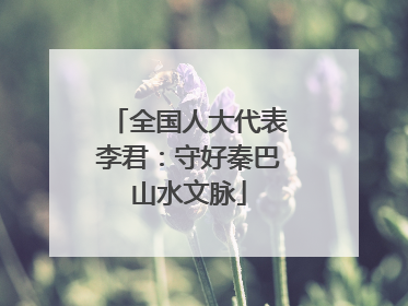 全国人大代表李君：守好秦巴山水文脉