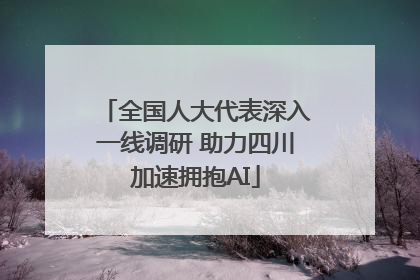 全国人大代表深入一线调研 助力四川加速拥抱AI