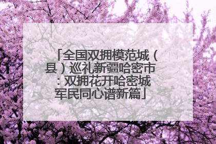 全国双拥模范城（县）巡礼新疆哈密市：双拥花开哈密城 军民同心谱新篇