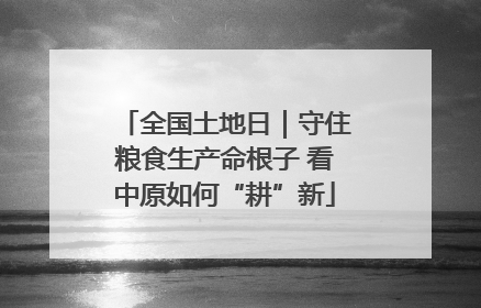 全国土地日｜守住粮食生产命根子 看中原如何“耕”新