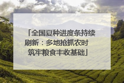 全国夏种进度条持续刷新：多地抢抓农时 筑牢粮食丰收基础