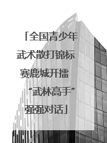 全国青少年武术散打锦标赛鹿城开擂 “武林高手”强强对话