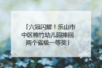 六冠闪耀！乐山市中区棉竹幼儿园捧回两个省级一等奖
