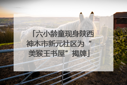 六小龄童现身陕西神木市新元社区为“美猴王书屋”揭牌