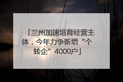 兰州加速培育经营主体，今年力争新增“个转企”4000户