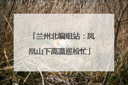 兰州北编组站：凤凰山下高温巡检忙