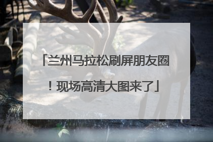 兰州马拉松刷屏朋友圈！现场高清大图来了