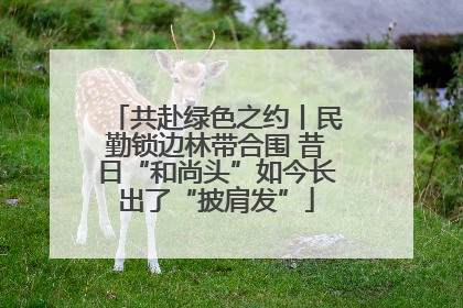 共赴绿色之约丨民勤锁边林带合围 昔日“和尚头”如今长出了“披肩发”