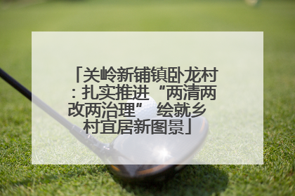 关岭新铺镇卧龙村:扎实推进“两清两改两治理” 绘就乡村宜居新图景