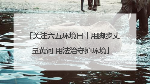关注六五环境日丨用脚步丈量黄河 用法治守护环境