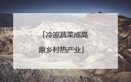 冷凉蔬菜成高原乡村热产业