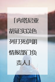 内塔尼亚胡证实以色列打死伊朗情报部门负责人