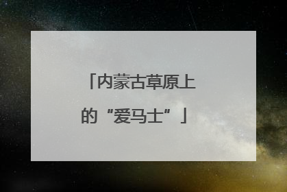 内蒙古草原上的“爱马士”
