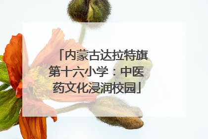 内蒙古达拉特旗第十六小学：中医药文化浸润校园