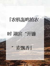 农机轰鸣抢农时 湖滨“开镰”麦飘香